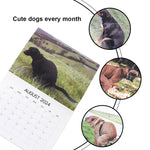 Dogs Pooping in Beautiful Places 2024 Wall Calendar, Funny Dog Lovers Christmas Gag Gift