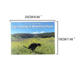 Dogs Pooping in Beautiful Places 2024 Wall Calendar, Funny Dog Lovers Christmas Gag Gift